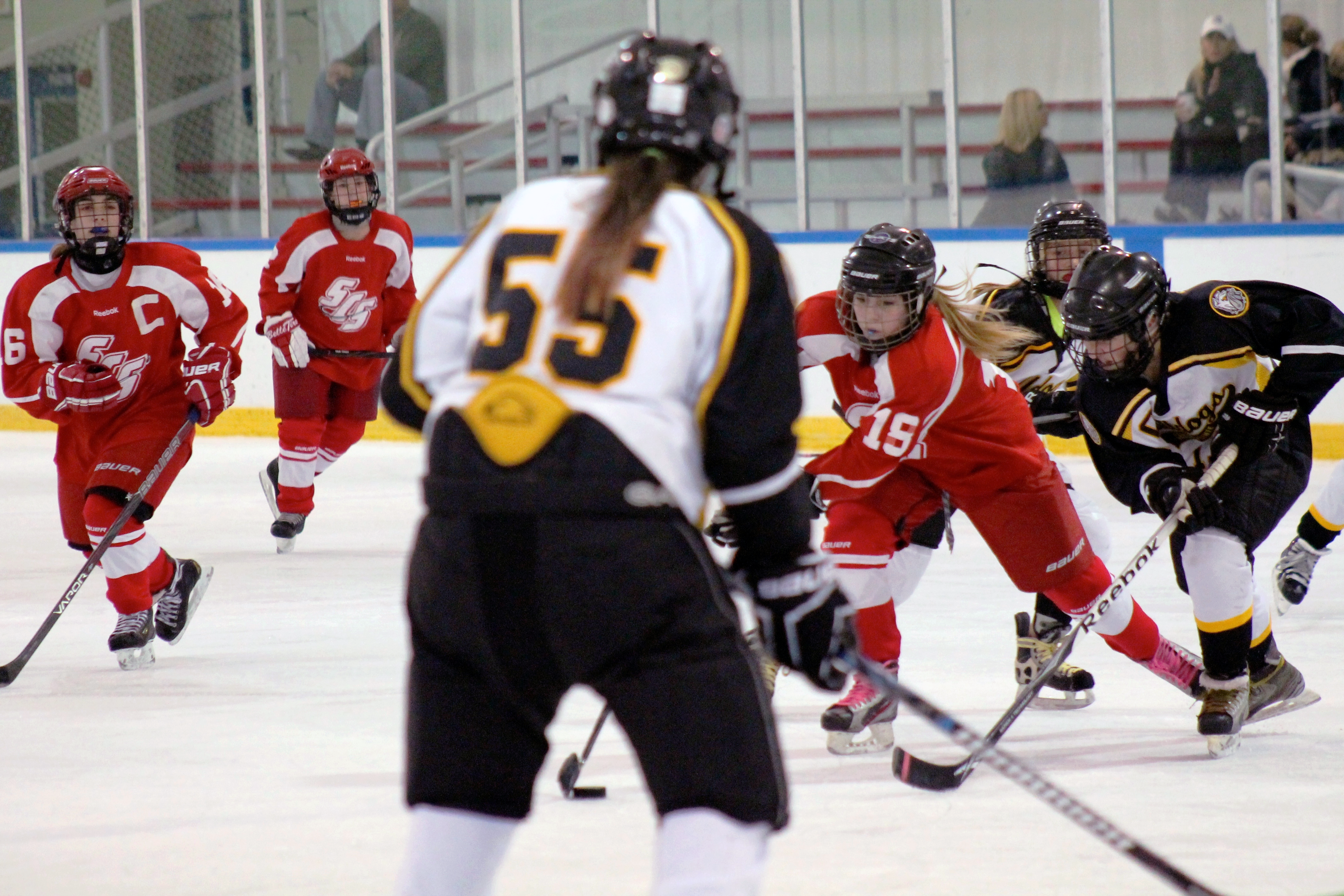 Girls hockey players in action
